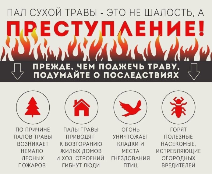 Пал сухой травы опасен❗. Пал сухой травы опасен❗.